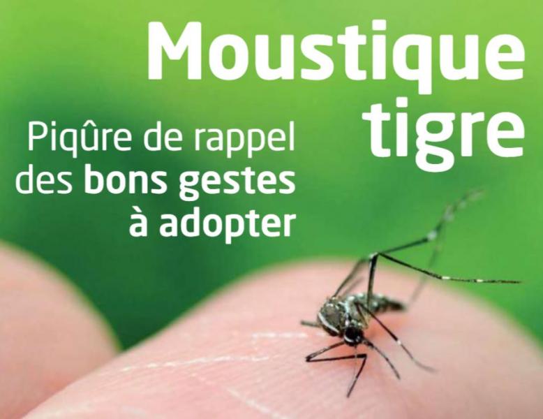 4. Lutter contre les nuisibles et espèces invasives