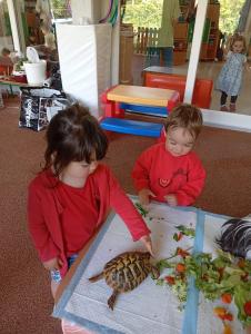 Découverte dans le cadre de la familiarisation avec les animaux.