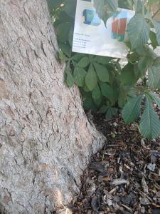 Participation au rallye Nature.