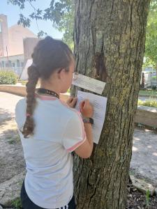 Le rallye nature, l'un des deux ateliers proposés aux collégiens volontaires.